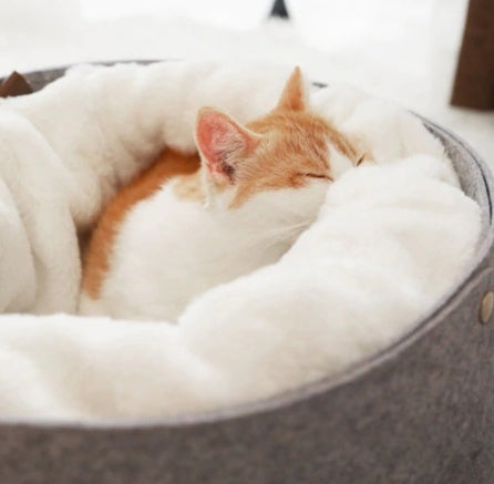 Velora Pets cat cave bed - how to get your cat to use a new bed