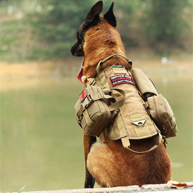 Gear Up & Load Out: The Velora Tactical MOLLE Command Vest.  Tactical Dog Harness Molle System Vest Adjustable Military