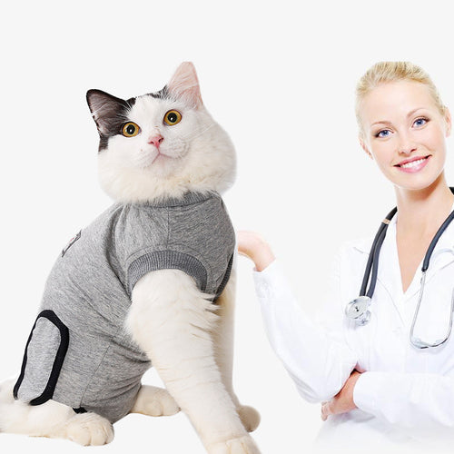 Cat Recovery Suit | Soft Cotton Post-Surgery Suit