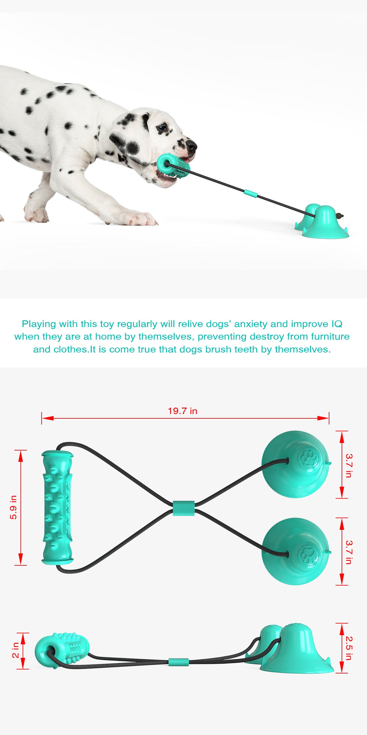 The Ultimate Solo Tug-of-War: Double the Power, Double the Fun! Double suction cup pull dog toy molar