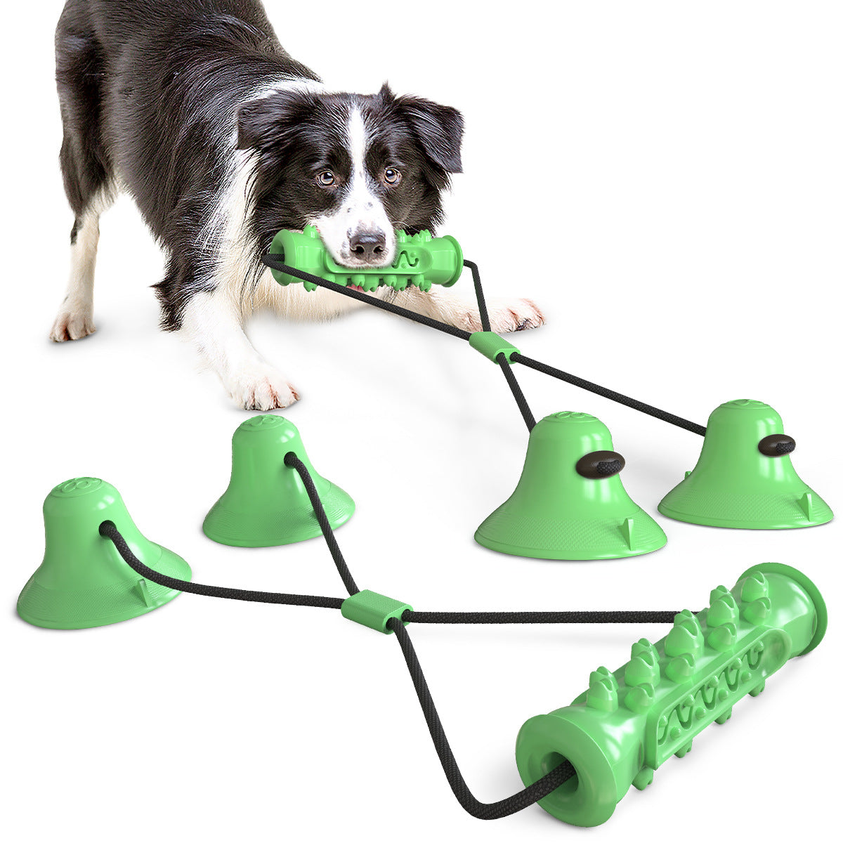 The Ultimate Solo Tug-of-War: Double the Power, Double the Fun! Double suction cup pull dog toy molar