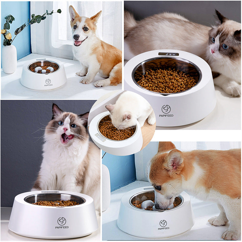 Precision Nutrition: The Velora Smart Weighing & Slow Feeder! Pet Dog Bowl Slow Feeder Dog Food Bowl Smart Weighing Dog Slow Feeder Cat Pet Feeder