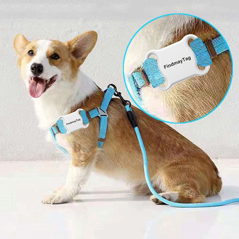 Smart Pet GPS Locator ! SafePaws GPS