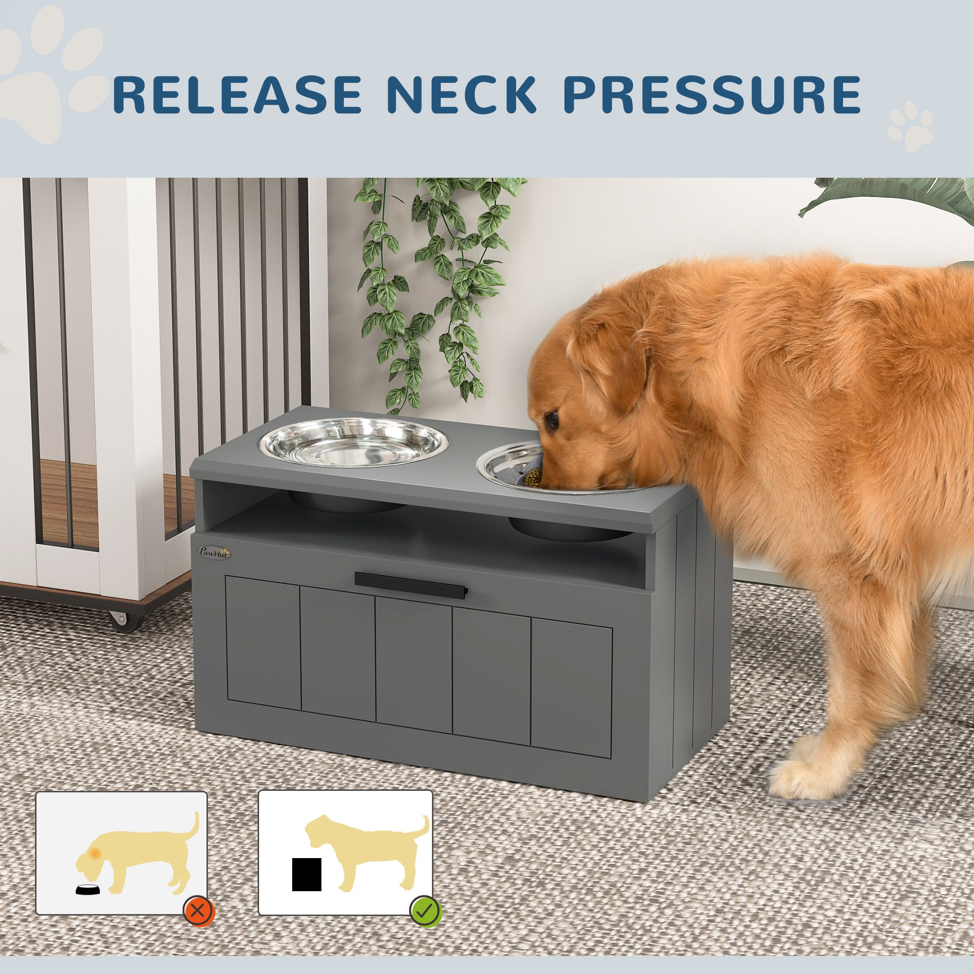 Eat Better, Live Better – The Velora Elevated Feeder