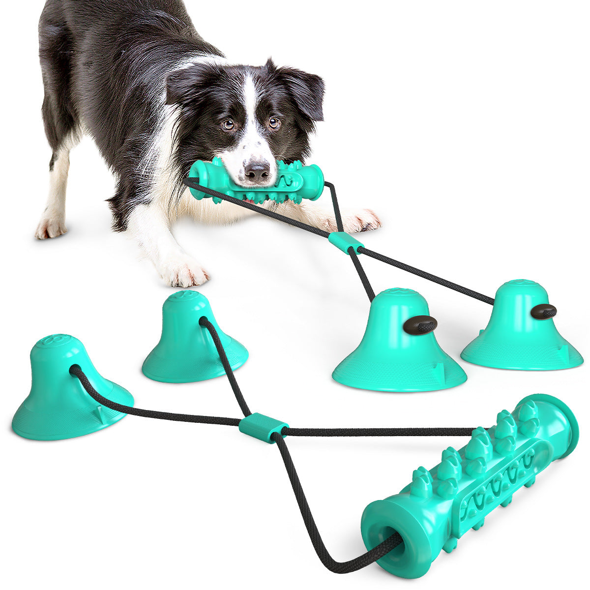 The Ultimate Solo Tug-of-War: Double the Power, Double the Fun! Double suction cup pull dog toy molar