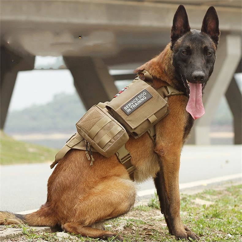 Gear Up & Load Out: The Velora Tactical MOLLE Command Vest.  Tactical Dog Harness Molle System Vest Adjustable Military