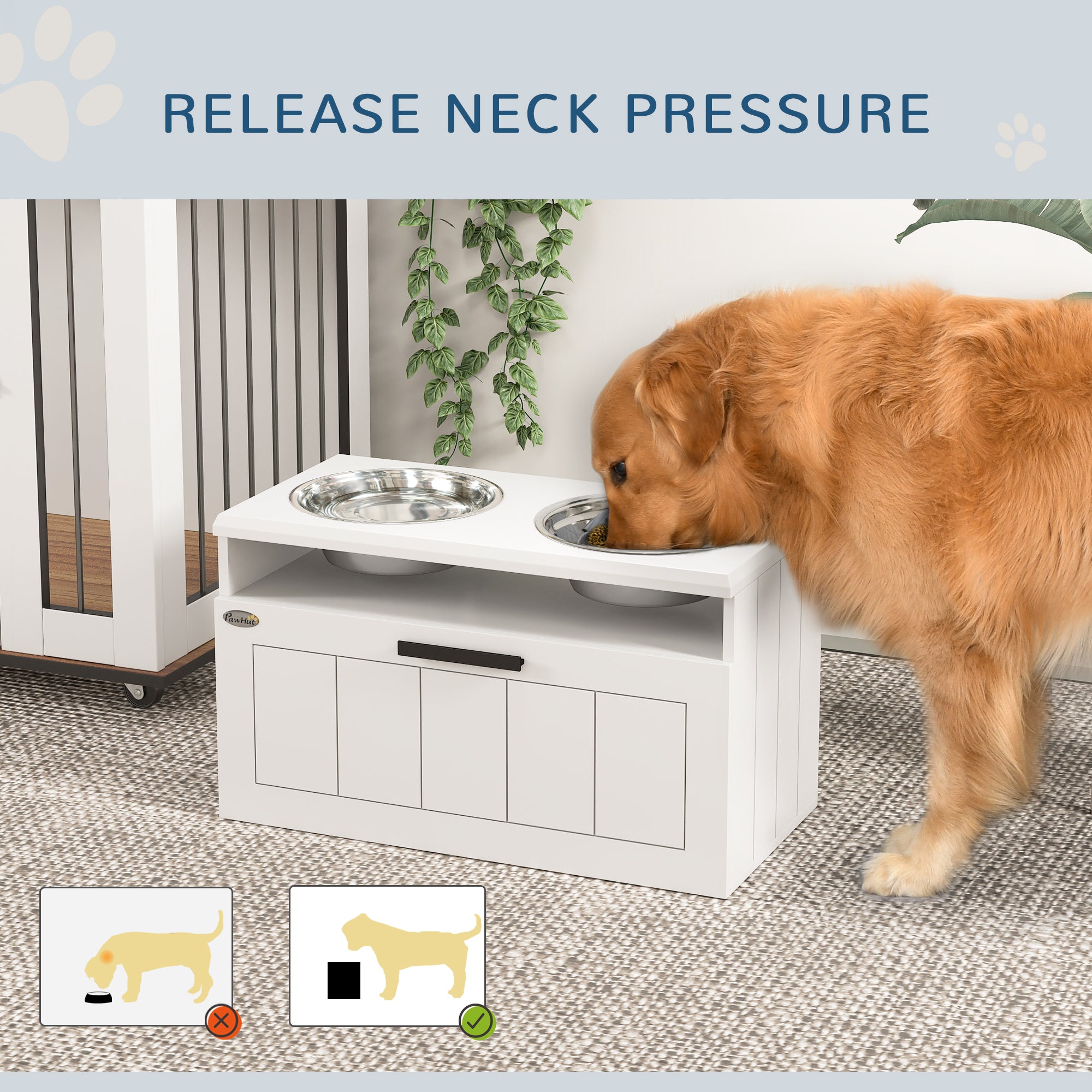 The Ultimate Dining Suite for Your Extra-Large Best Friend