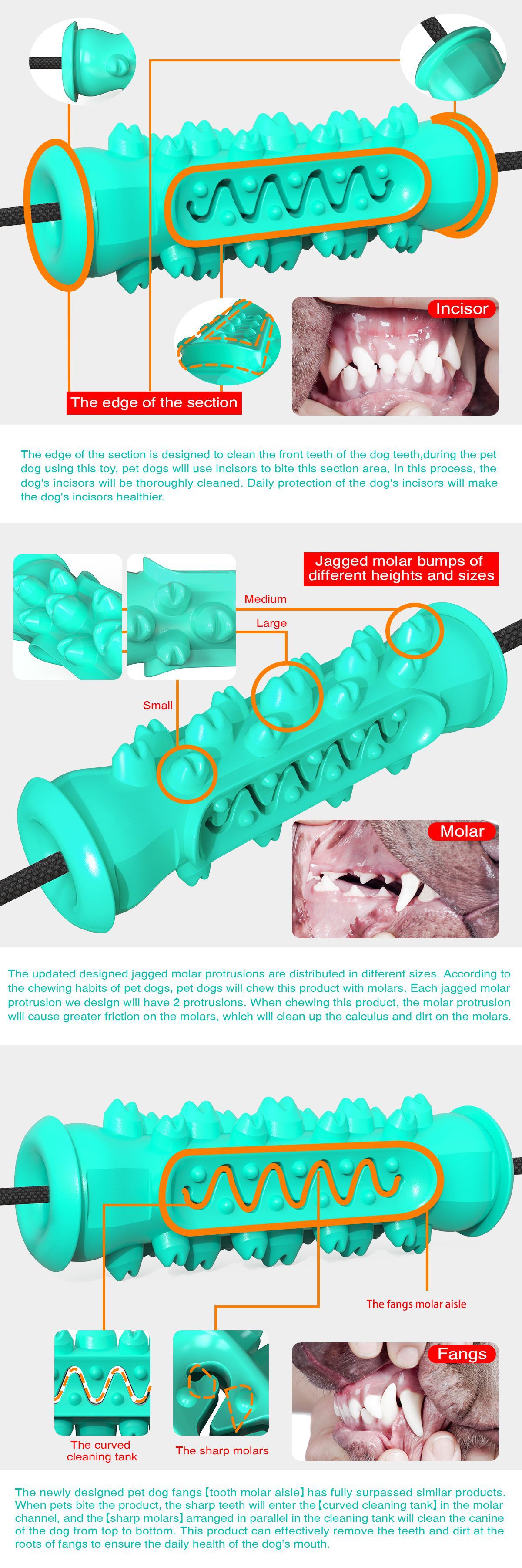 The Ultimate Solo Tug-of-War: Double the Power, Double the Fun! Double suction cup pull dog toy molar