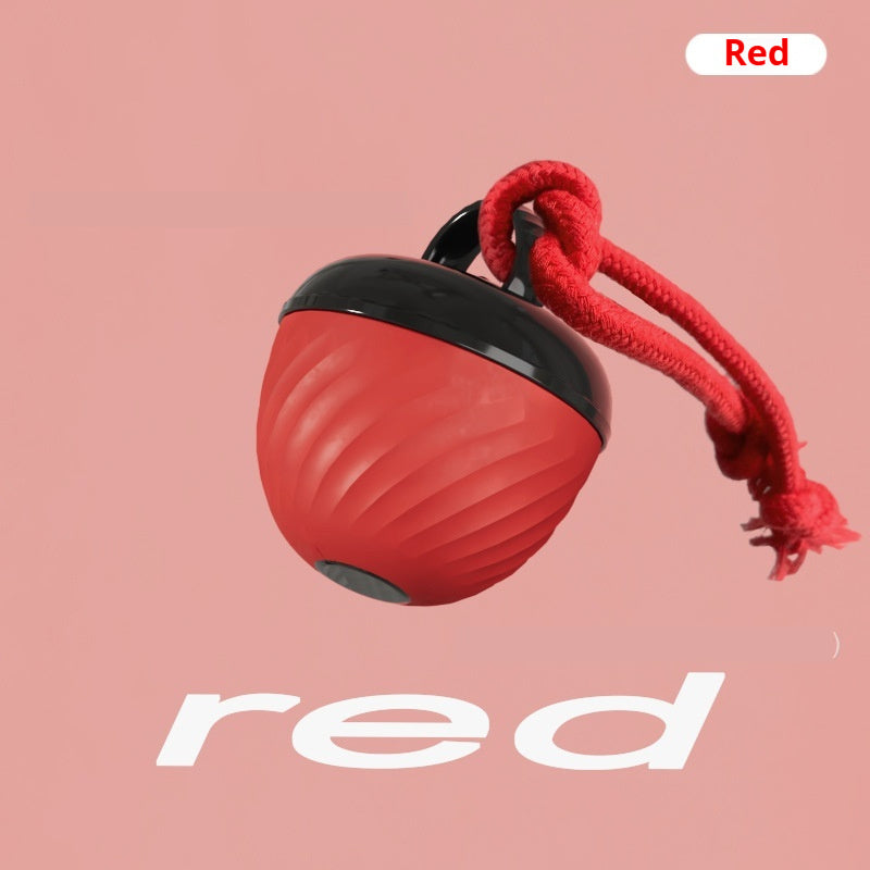 Smart, Chew-resistant Dog Toy Ball To Keep Your Pup Entertained And Help Soothe Teething Discomfort
