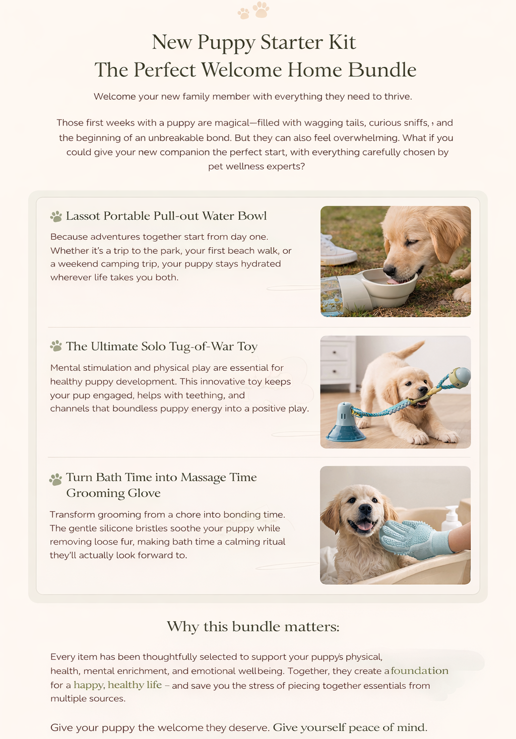 New Puppy Starter Kit - The Perfect Welcome Home Bundle