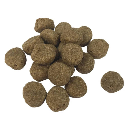 Adult Dry Dog Food | Beef with Prebiotics, 15kg
