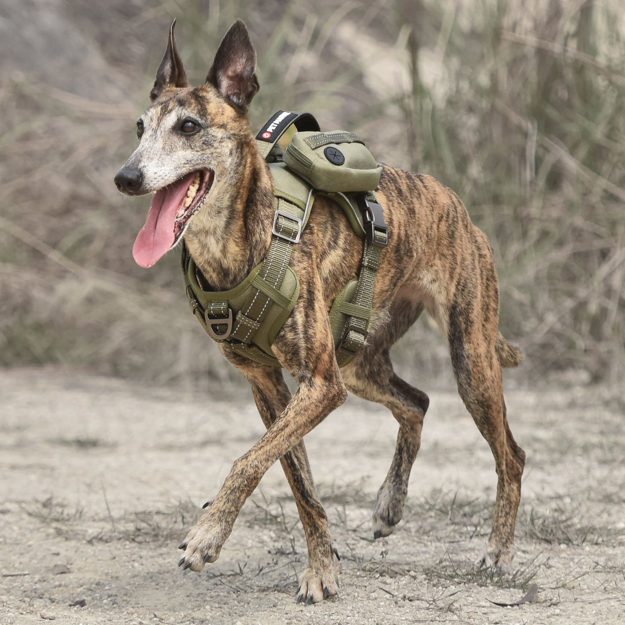 Velora Pets: Heavy-Duty Gear for Your Heavy-Duty Best Friend 🐾 Harness + Backpack. High-Perfomance Tactical Dog Harness With Backpack, No Pull Front Clip & Metal Buckles
