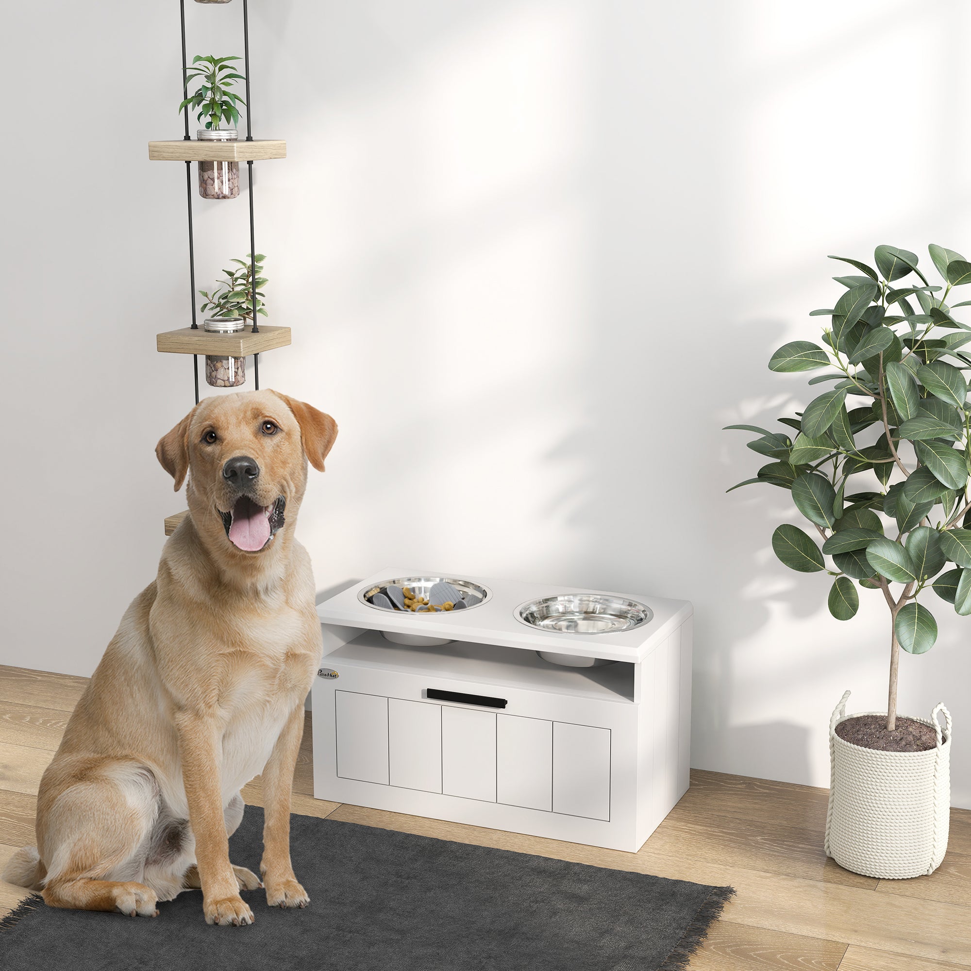 The Ultimate Dining Suite for Your Extra-Large Best Friend