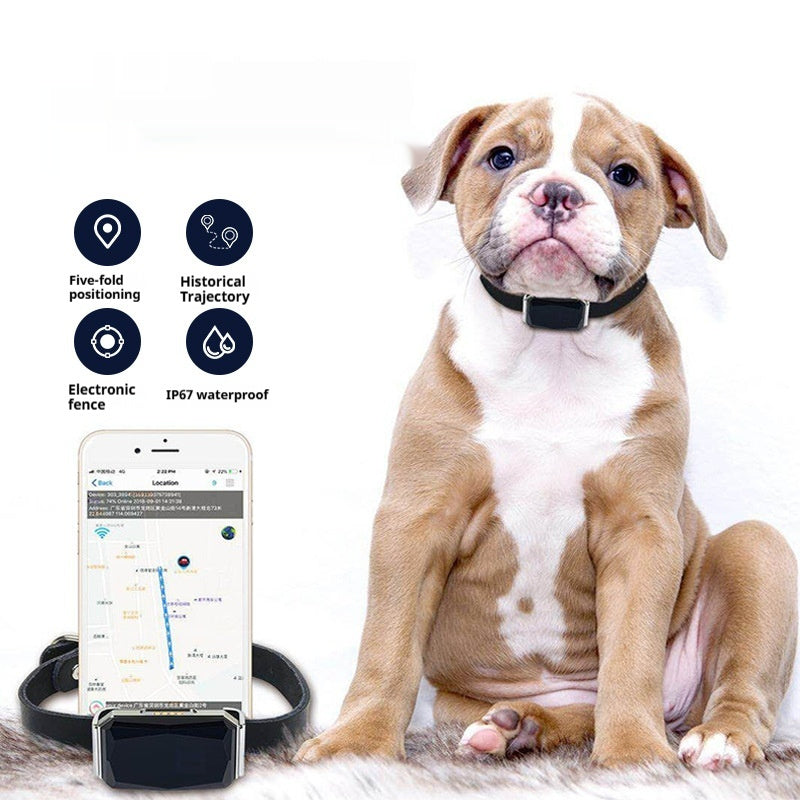 G12 Smart GPS Pet Tracker: The Ultimate Peace of Mind for Pet Parents- Velora Omni