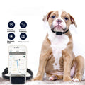 G12 Smart GPS Pet Tracker: The Ultimate Peace of Mind for Pet Parents- Velora Omni