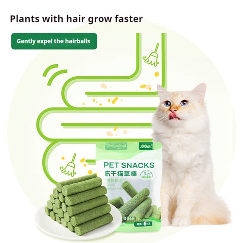 Cat Grass Treat Sticks | Freeze-Dried Dental Snack